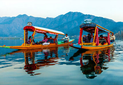 Exotic Srinagar Tour